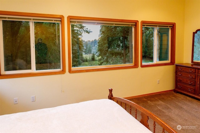 bedroom featuring carpet flooring