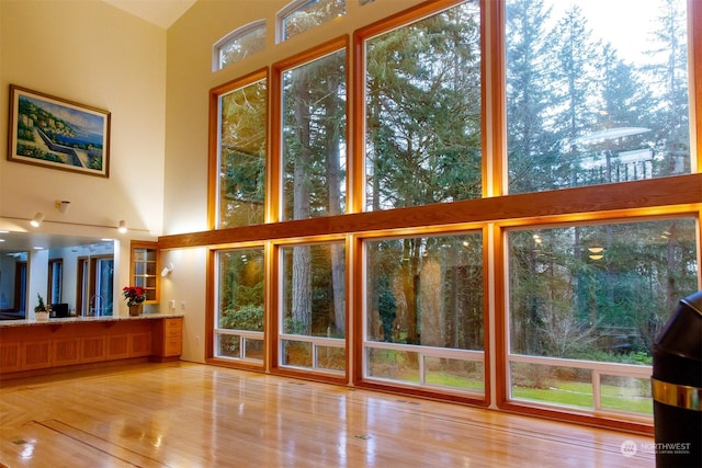 doorway to outside with a towering ceiling and light hardwood / wood-style floors