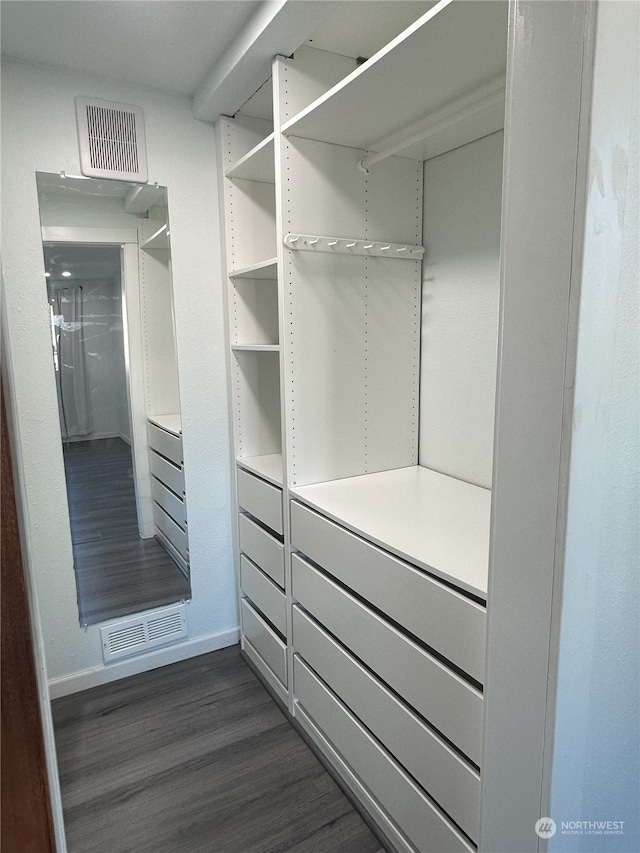 spacious closet with dark hardwood / wood-style flooring