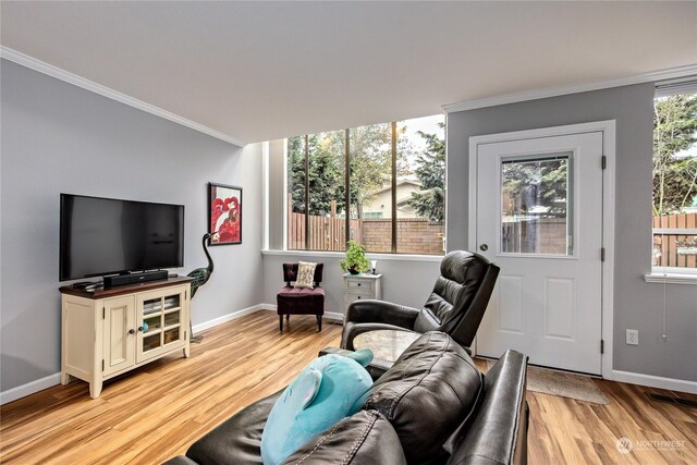 living room with crown molding and light wood-type flooring