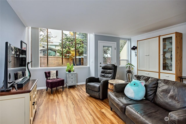 living room featuring light hardwood / wood-style flooring and ornamental molding