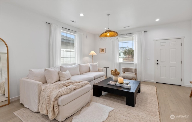 living room featuring light hardwood / wood-style flooring and a healthy amount of sunlight