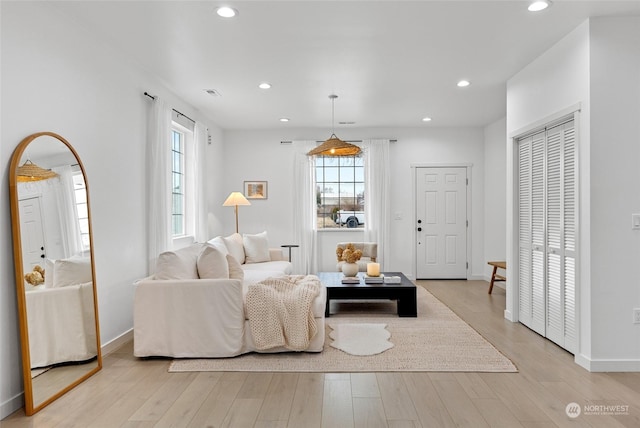 living room featuring light hardwood / wood-style flooring