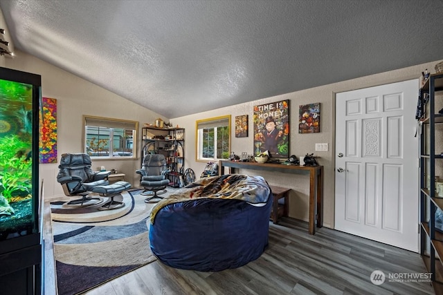 living room featuring a textured ceiling, dark hardwood / wood-style flooring, vaulted ceiling, and a wealth of natural light