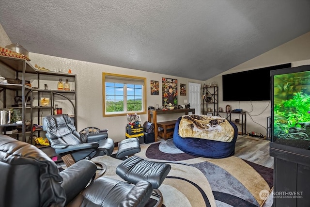 living room with a textured ceiling and lofted ceiling