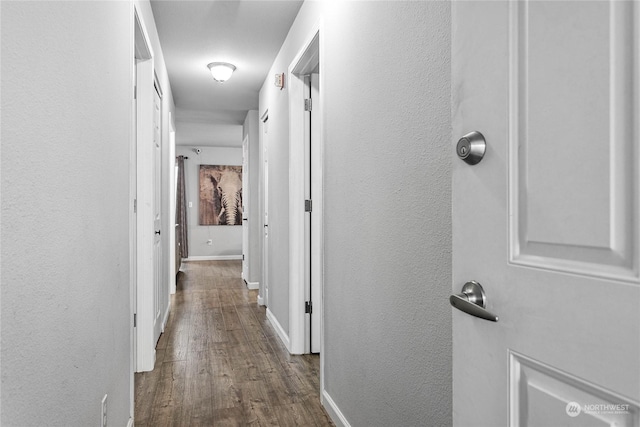 hall featuring dark hardwood / wood-style flooring