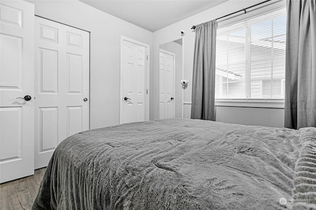 bedroom with two closets and hardwood / wood-style flooring