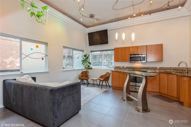 kitchen with light tile patterned floors, sink, a wealth of natural light, and a tray ceiling