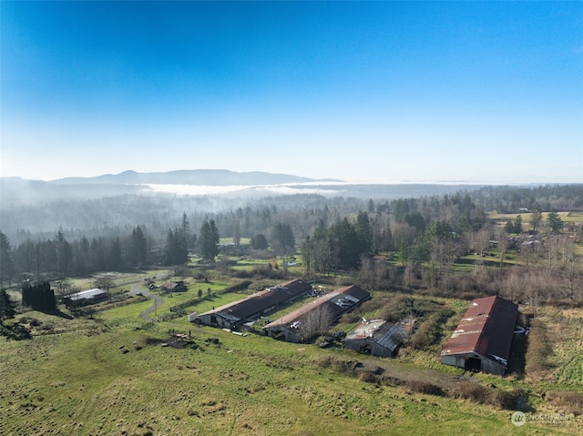 drone / aerial view featuring a mountain view