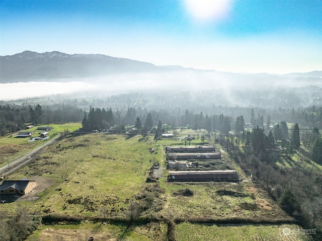 drone / aerial view featuring a mountain view