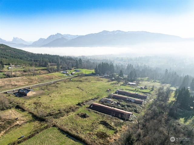 birds eye view of property featuring a mountain view