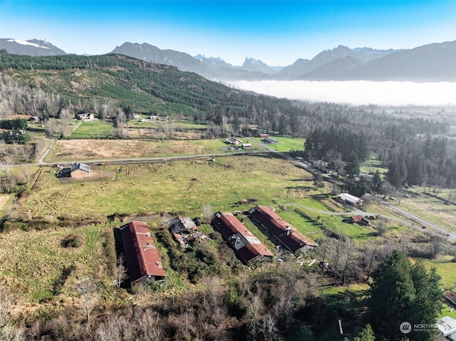 birds eye view of property with a mountain view and a rural view