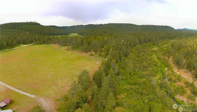 4528 Stonebrook Way, Springdale, WA 99173