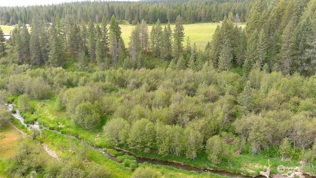 4528 Stonebrook Way, Springdale, WA 99173