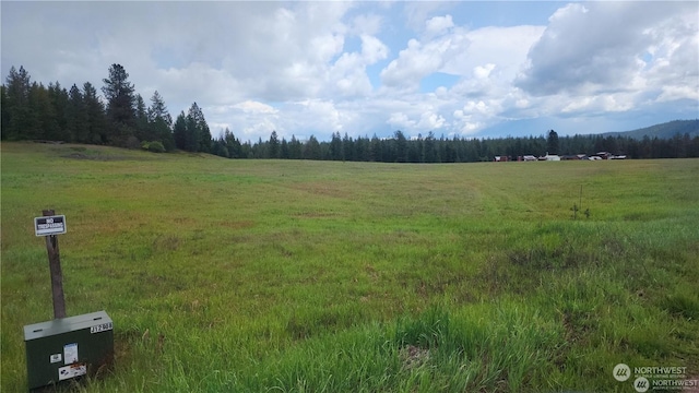 4528 Stonebrook Way, Springdale, WA 99173