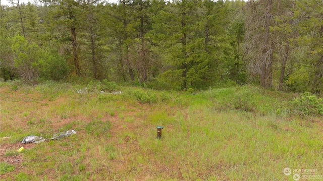 4528 Stonebrook Way, Springdale, WA 99173