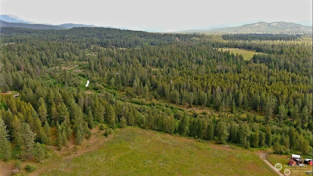 4528 Stonebrook Way, Springdale, WA 99173