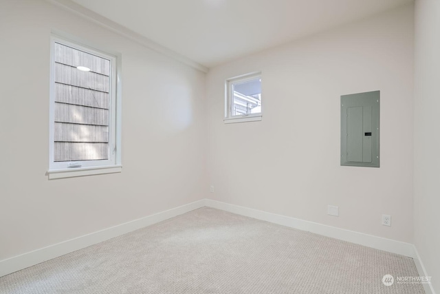 spare room featuring electric panel and light carpet