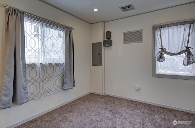 empty room featuring carpet, electric panel, and plenty of natural light