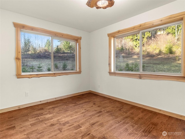 spare room with wood-type flooring