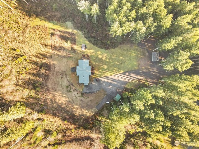 224 Cropsey Dr, Randle, WA 98377 - photo 38
