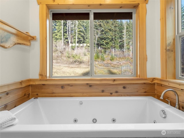 bathroom with a healthy amount of sunlight and a washtub