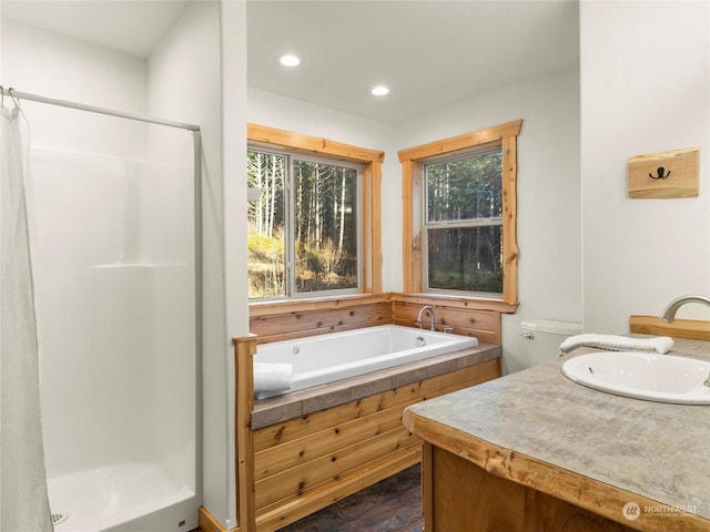 bathroom featuring vanity and independent shower and bath