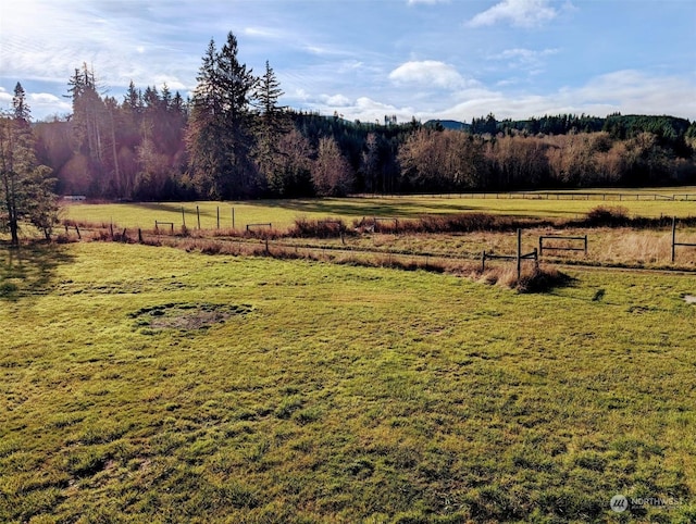 view of yard with a rural view