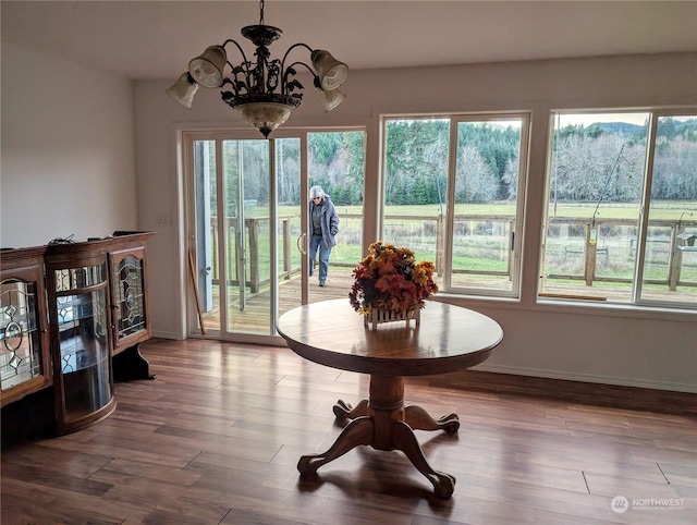 dining room with baseboards, wood finished floors, a wealth of natural light, and a notable chandelier