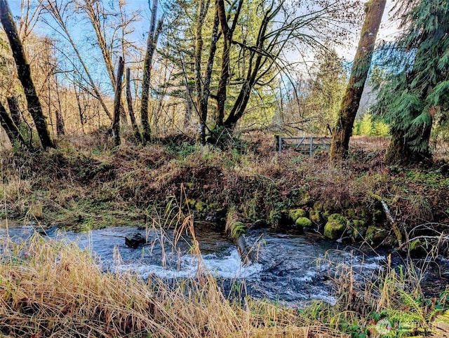 view of water feature