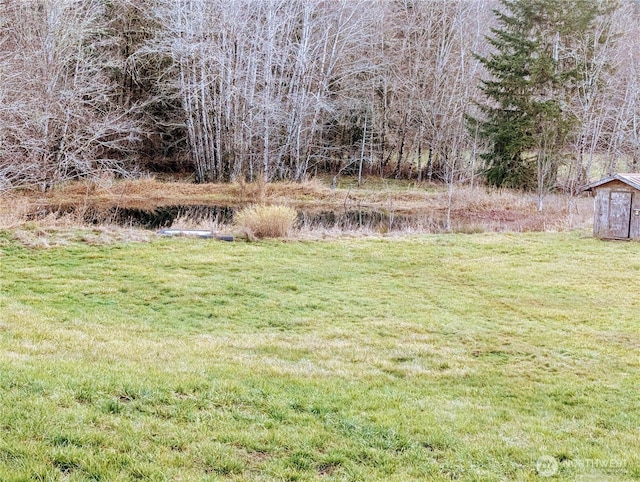 view of yard with a storage unit