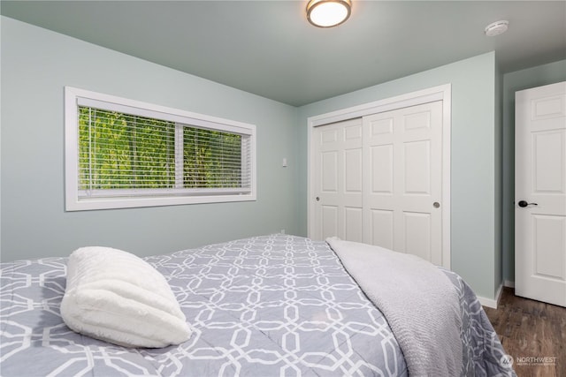 bedroom featuring dark hardwood / wood-style flooring and a closet