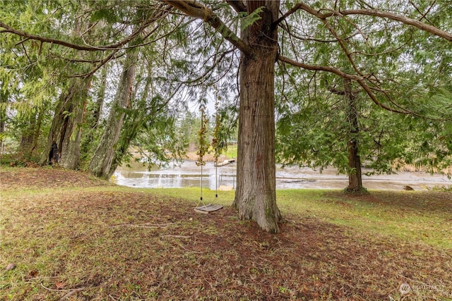 view of yard with a water view