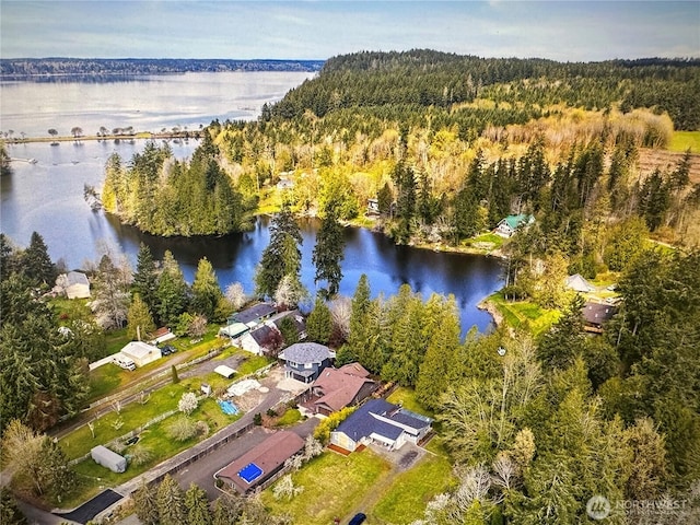 aerial view with a water view and a forest view