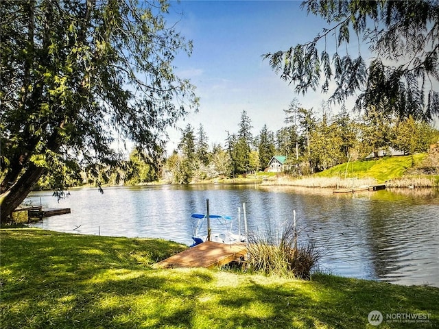 property view of water featuring a boat dock