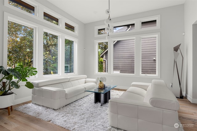 living room with light hardwood / wood-style floors