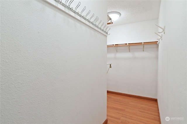 walk in closet featuring hardwood / wood-style floors