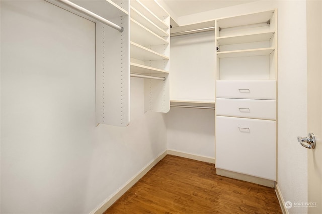 spacious closet with hardwood / wood-style floors