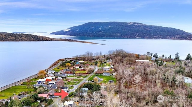 drone / aerial view with a water and mountain view