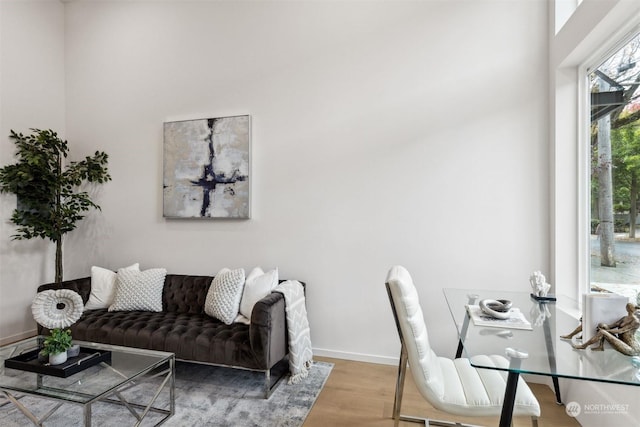 living room with light hardwood / wood-style flooring