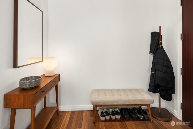 hallway featuring wood-type flooring