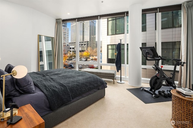 bedroom with expansive windows and carpet floors