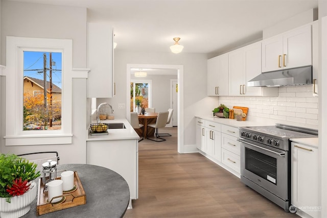 kitchen featuring sink, high end stainless steel range oven, tasteful backsplash, light hardwood / wood-style flooring, and white cabinets