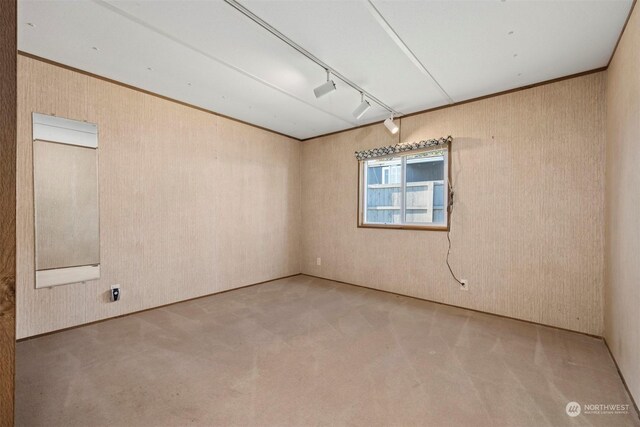 unfurnished room with carpet and rail lighting