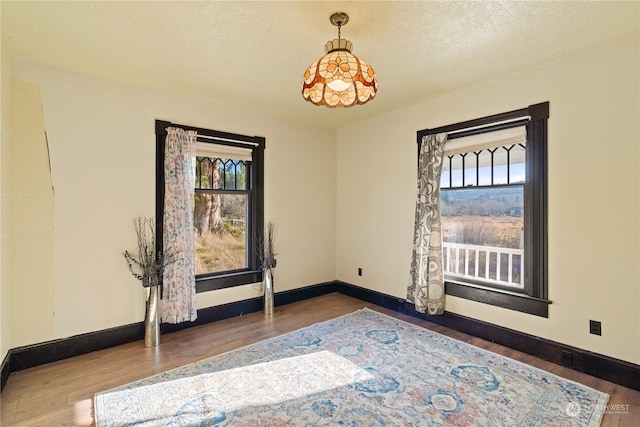 empty room featuring hardwood / wood-style floors and a textured ceiling