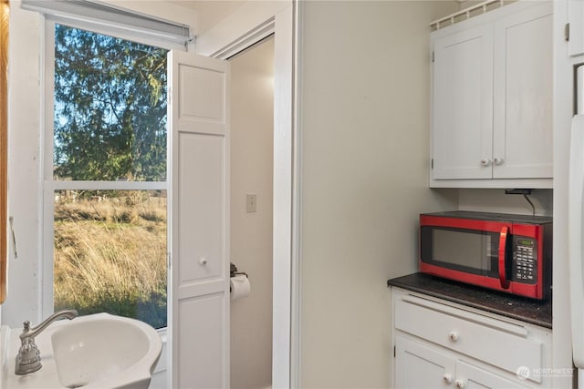 bathroom featuring a wealth of natural light and sink