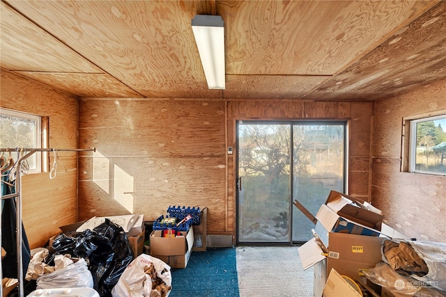 miscellaneous room featuring a wealth of natural light and carpet