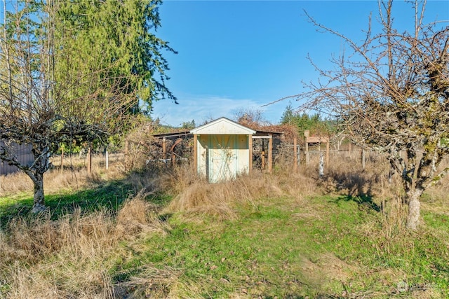 view of yard featuring a shed