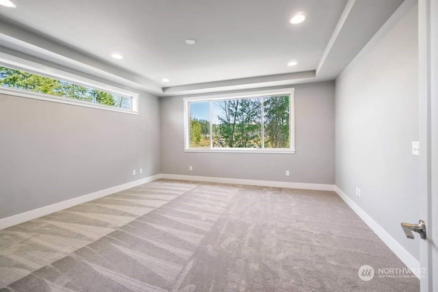 unfurnished room with light carpet and a tray ceiling