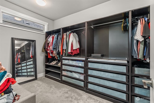 walk in closet featuring carpet flooring